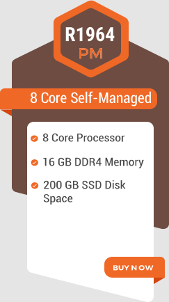 8 C o r e S elf-Managed R1964