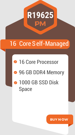 16 Core Self-Managed R19625 96 GB DDR4 Memory 1000 GB SSD Disk Space 16 Core Processor
