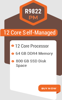 12 Core Self-Managed R9822 12 Core Processor